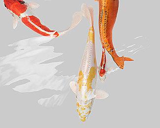 独立像素复古冒险《Wizorb》10月6日登陆Switch